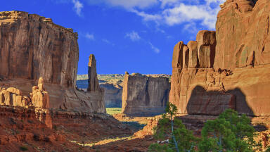 How Does City Pollution Compare to National Parks?